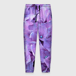 Брюки на резинке мужские Фиолетово-сиреневые цветы, цвет: 3D-принт