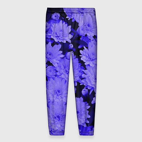 Мужские брюки Хризантемы Сhrysanthemums / 3D-принт – фото 2
