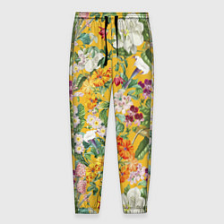 Мужские брюки Цветы Солнечное Лето