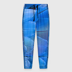 Мужские брюки Текстура с голубыми перьями