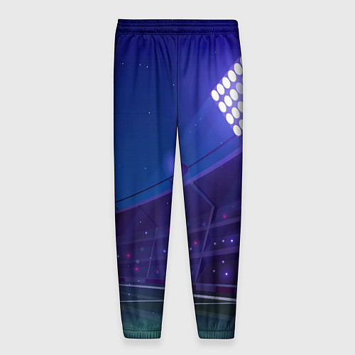 Мужские брюки Brighton ночное поле / 3D-принт – фото 2