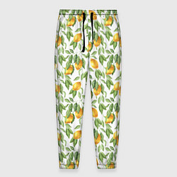 Мужские брюки Лимоны на ветках - паттерн