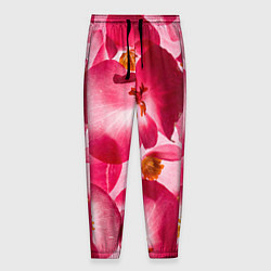 Мужские брюки Цветы бегония текстура