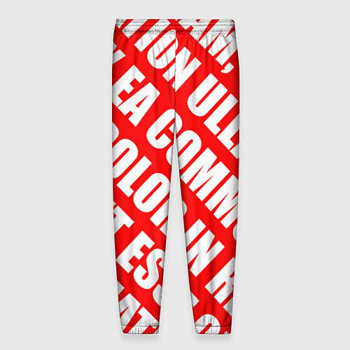 Мужские брюки Крупный рубленый текст Lorem Ipsum каллиграфия на / 3D-принт – фото 2