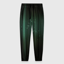 Мужские брюки Музыкальный зеленый спектр