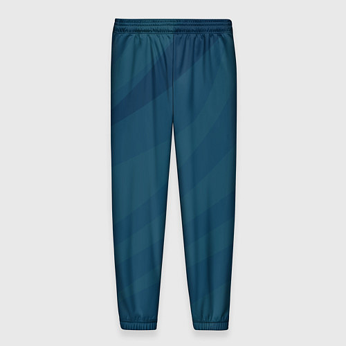 Мужские брюки Сине-зеленый плавные полосы / 3D-принт – фото 2