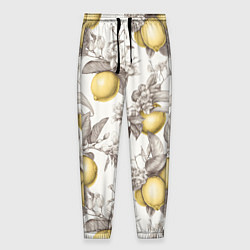 Брюки на резинке мужские Лимоны - винтаж графика: паттерн, цвет: 3D-принт