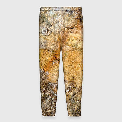 Мужские брюки Скалистая поверхность / 3D-принт – фото 2