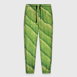 Мужские брюки Травяной паттерн