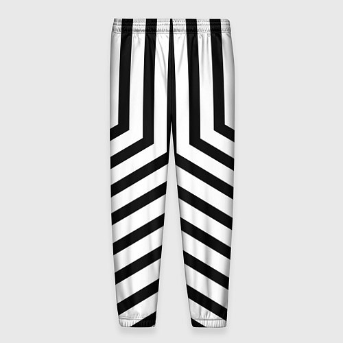 Мужские брюки Черно-белые полосы в узоре / 3D-принт – фото 2