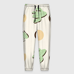 Мужские брюки Пустынный кактус