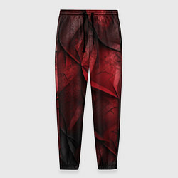 Мужские брюки Black red texture