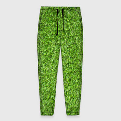 Брюки на резинке мужские Зелёный газон, цвет: 3D-принт