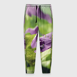 Мужские брюки Геометрический пейзаж фиолетовый и зеленый