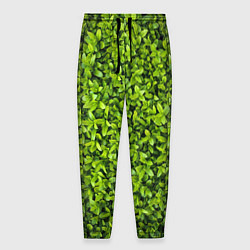 Мужские брюки Зелёная трава листья