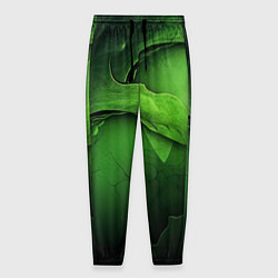 Мужские брюки Зеленая яркая абстрактная текстура