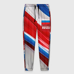 Мужские брюки Герб России на абстрактном фоне