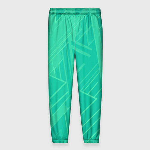 Мужские брюки Мятный зелёный однотонный геометричный / 3D-принт – фото 2