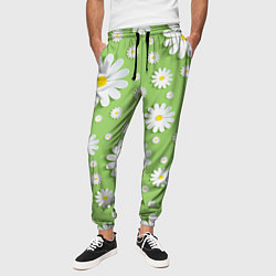 Брюки на резинке мужские Ромашки бумажные, цвет: 3D-принт — фото 2