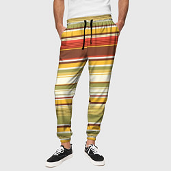 Брюки на резинке мужские Горизонтальные полосы, цвет: 3D-принт — фото 2