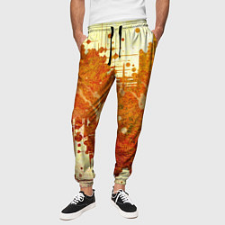Брюки на резинке мужские Абстракция - sunspot, цвет: 3D-принт — фото 2