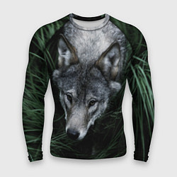 Рашгард мужской Волк в траве, цвет: 3D-принт
