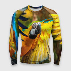 Рашгард мужской Взлёт попугая, цвет: 3D-принт