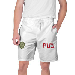 Шорты на шнурке мужские Rus Team: Away WC 2018, цвет: 3D-принт