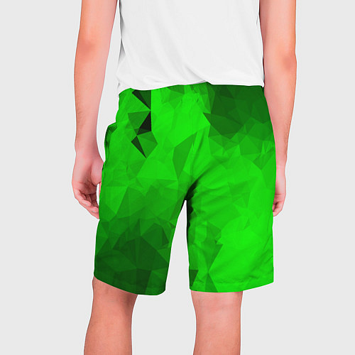 Мужские шорты GREEN / 3D-принт – фото 2