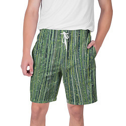Шорты на шнурке мужские Зеленый бамбук, цвет: 3D-принт