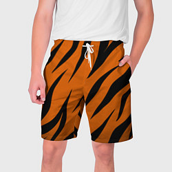 Мужские шорты Текстура тигра