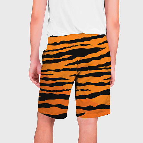 Мужские шорты След от когтей тигра / 3D-принт – фото 2