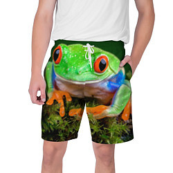Мужские шорты Тропическая лягушка