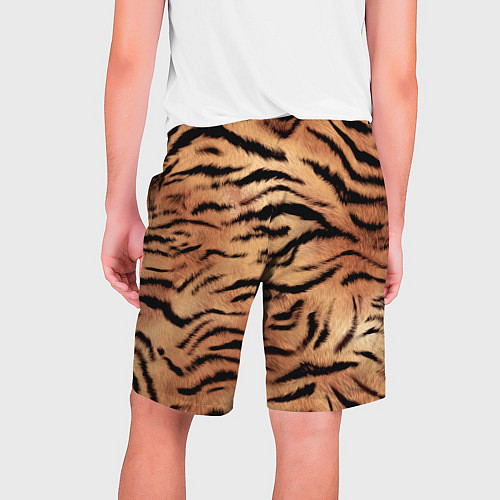 Мужские шорты Шкура тигра текстура / 3D-принт – фото 2