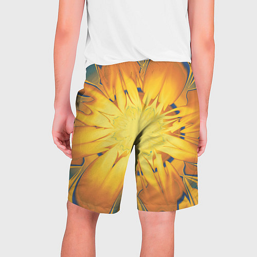 Мужские шорты Солнечный цветок Абстракция 535-332-32 / 3D-принт – фото 2