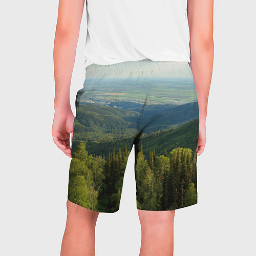 Мужские шорты Природный пейзаж / 3D-принт – фото 2