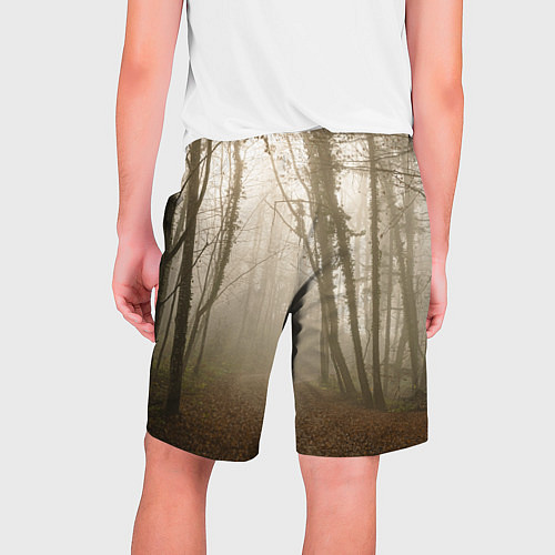 Мужские шорты Туманный лес на восходе / 3D-принт – фото 2