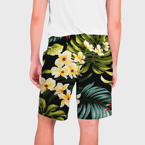 Мужские шорты Vanguard floral composition Summer / 3D-принт – фото 2