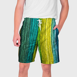 Шорты на шнурке мужские Разноцветные полосы материала, цвет: 3D-принт