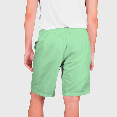 Мужские шорты Мятный радуга / 3D-принт – фото 2