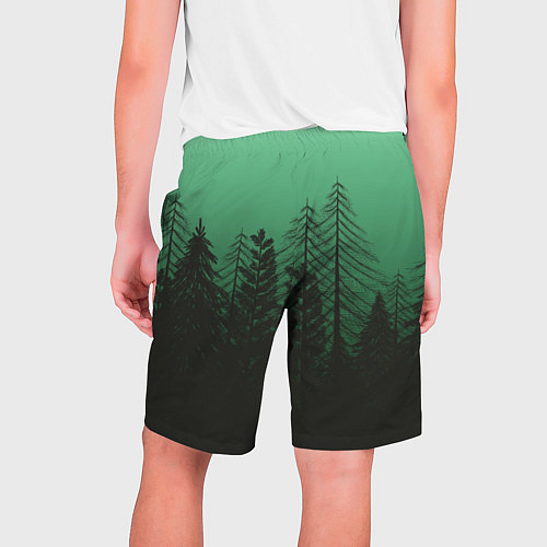 Мужские шорты Зелёный туманный лес / 3D-принт – фото 2