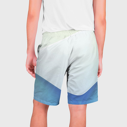 Мужские шорты Пастель из трёх цветов / 3D-принт – фото 2