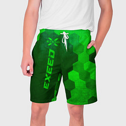 Шорты на шнурке мужские Exeed - green gradient по-вертикали, цвет: 3D-принт