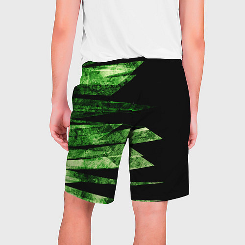 Мужские шорты Color green black / 3D-принт – фото 2