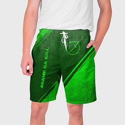 Мужские шорты Akame ga Kill - green gradient вертикально