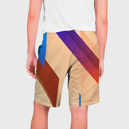 Мужские шорты Multicolored / 3D-принт – фото 2