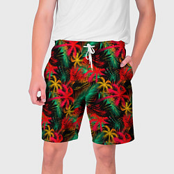 Мужские шорты Palm yellow red