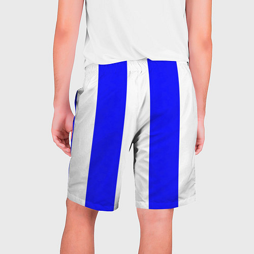 Мужские шорты Color white blue line / 3D-принт – фото 2