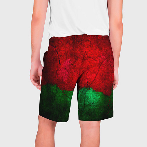 Мужские шорты Grunge color / 3D-принт – фото 2