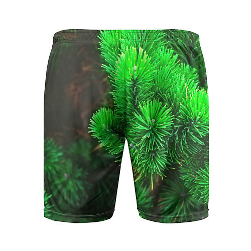 Мужские спортивные шорты Зелёная ель / 3D-принт – фото 2